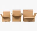 Cardboard Box AUTO 30 - Peel & seal adhesive strip ✦ Window2Print