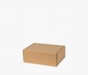 Cardboard Box FAST 50 ✦ Window2Print