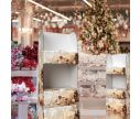 Cardboard stand printing- Shelf Display 7 - 60 x 40 x 170- Christmas  ❖ Window2Print